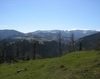 Manastirea Sfanta Treime, Albac