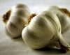 Usturoiul, antibioticul natural