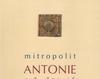 Traditie si libertate in spiritualitatea ortodoxa - Antonie Plamadeala - Recenzie