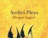 Despre Ingeri - Andrei Plesu