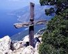 Pomul din care a fost facuta Sfanta Cruce