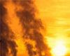Criza ecologica