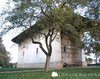 Manastirea Arbore 