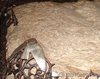 Biserica Nasterea Domnului - Betleem 
