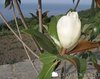 Manastirea Caracalu - Sfantul Munte Athos 