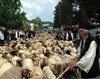 Traditii si obiceiuri de Sfantul Dumitru