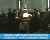 Nectarie Protopsaltul - Chinonic